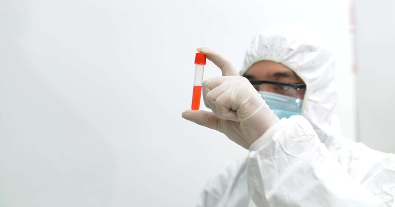 Mysterious drug-resistant fungus can cause death within 90 days, here's what you need to know