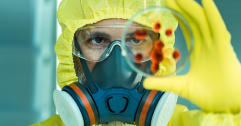 Mysterious drug-resistant fungus can cause death within 90 days, here's what you need to know