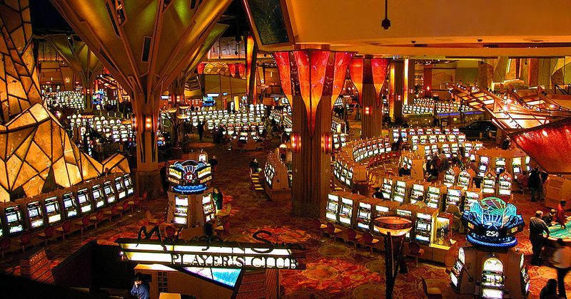 Michigan woman locked her three dogs in a car and spent hours gambling at a casino, killing 2 of them