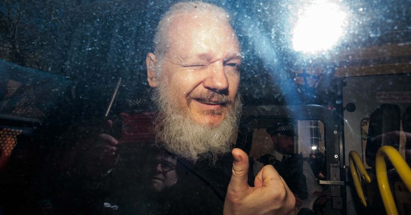 What happened to Julian Assange's cat, his only companion at the Ecuadorian embassy