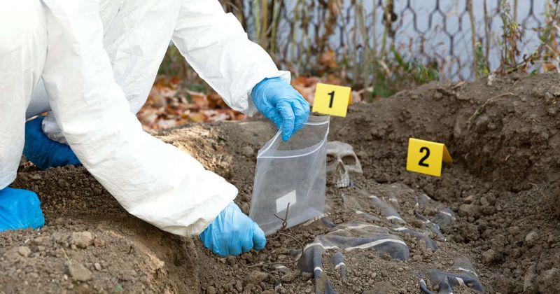 Man who found mother's remains in backyard 21 years after she went 'missing' takes stand in father's trial