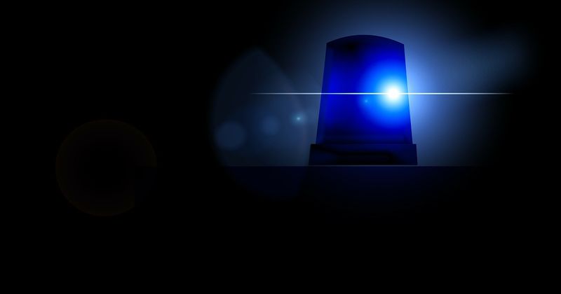 Georgia girl dies after younger brother accidentally shoots her in the head with handgun inside family car