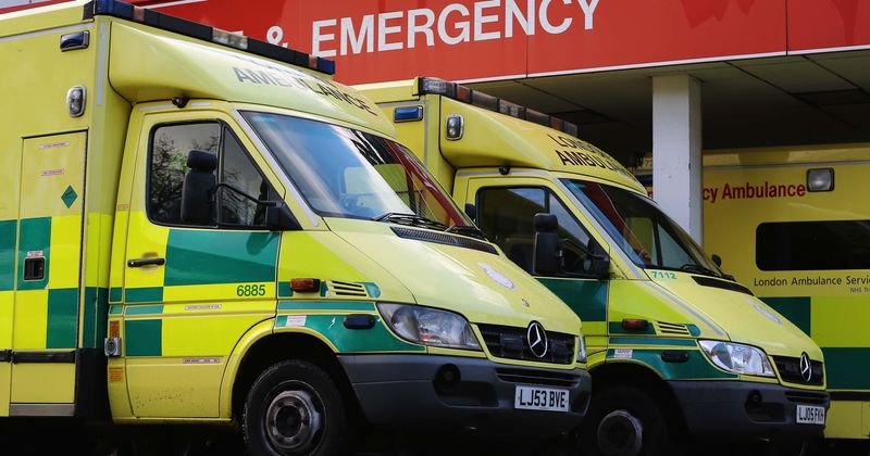 9-year-old boy dies after attack by 'bulldog-type' dog at Cornwall holiday park