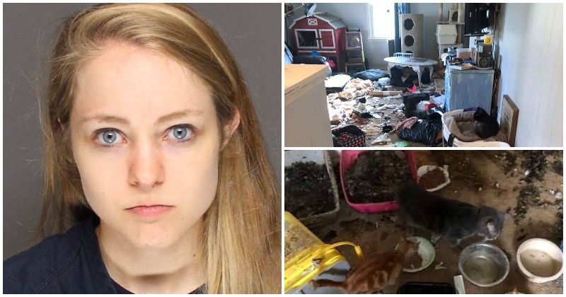 Minnesota woman kept 64 dead cats, numerous malnourished creatures at her animal 'rescue' home