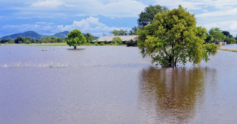 Record flooding has destroyed the Midwest farming industry, with no US disaster aid for "damaged" crops