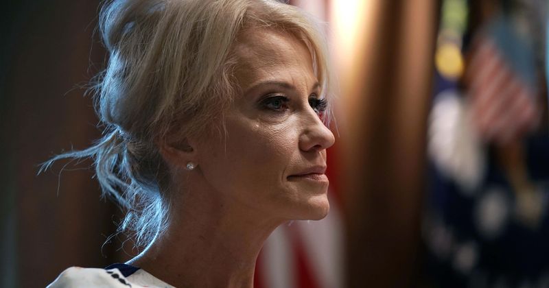 Kellyanne Conway hails Mueller report as 'complete exoneration' while her husband compares Trump to cancer