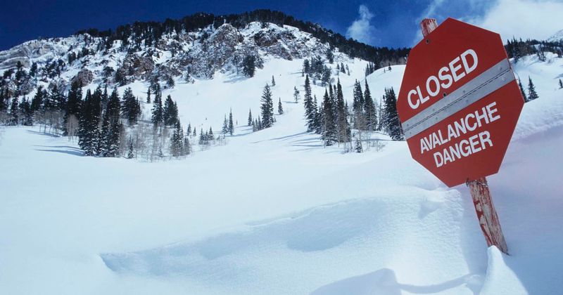 Bodies of three expert climbers swept away in avalanche recovered in Banff National Park