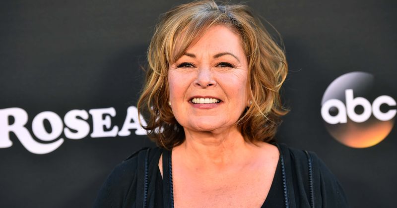 Roseanne Barr is fighting to stay relevant but failing, PR experts say she is 'pouring salt in the wound'