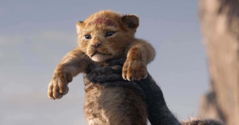 'The Lion King': Release date, cast, plot, trailers and everything you need to know about the live-action retelling of the classic Disney movie