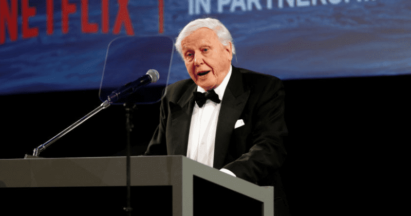 At 92, David Attenborough believes he is running out of time, calls on younger generations to protect the natural world