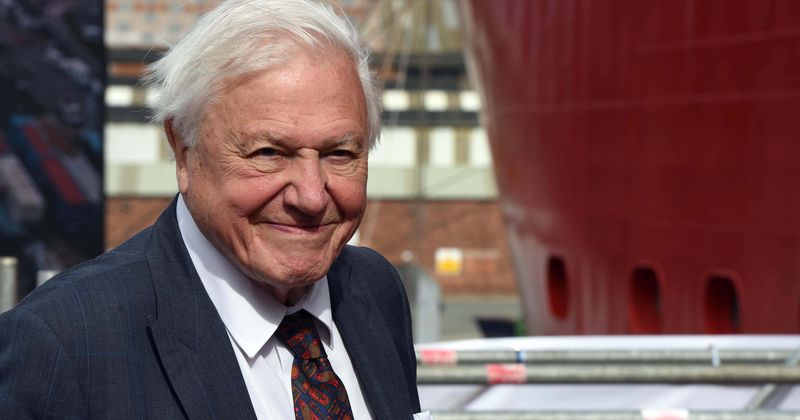 At 92, David Attenborough believes he is running out of time, calls on younger generations to protect the natural world