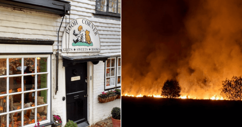 Fire blazes through Ashdown Forest, Winnie the Pooh's 'Hundred Acre Wood'