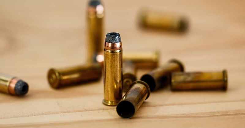 18-year-old killed by stray bullet in New York street row was trying to protect her nine-year-old sister