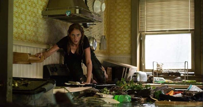'Crawl': Release date, plot, cast, trailer and everything else about the upcoming horror movie
