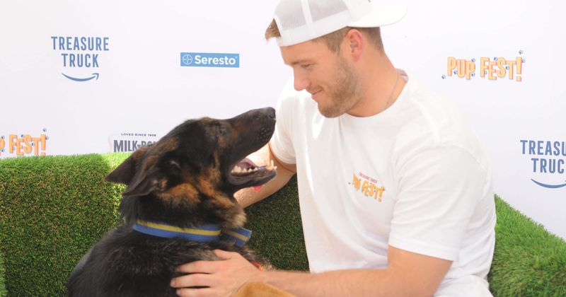 'Bachelor' Colton Underwood can't contain his love for dogs at Amazon's Treasure Truck Pup Fest: 'It's a good time'