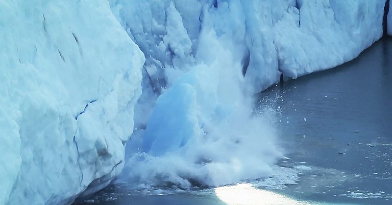 Melting sea ice in the Arctic and Antarctic may be an economic boon, but it spells doom for sea life, warn experts