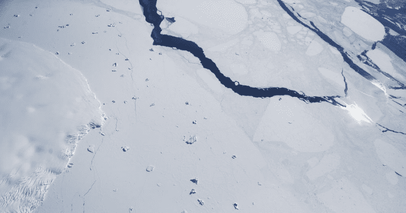 Melting sea ice in the Arctic and Antarctic may be an economic boon, but it spells doom for sea life, warn experts