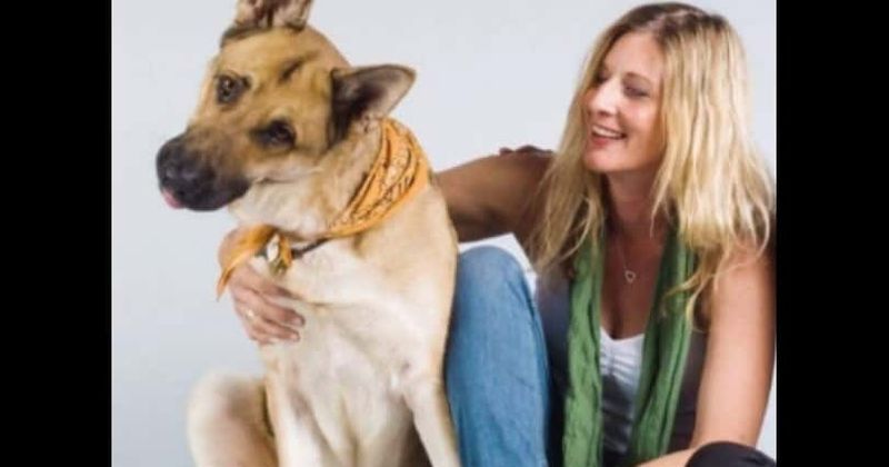 Woman and five dogs killed as suspect crashes stolen van into her vehicle after being chased by police in Long Beach