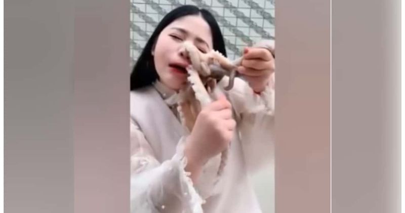 Octopus gets its revenge on woman live streaming herself trying to eat the sea creature alive