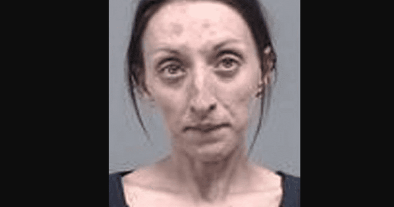 Ohio woman breaks into stranger's home, washes dishes, pets family dog and leaves
