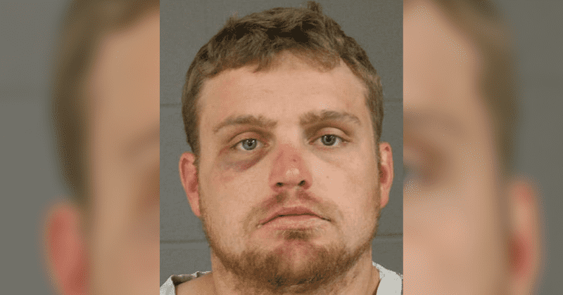 Video shows K-9 German Shepherd latch onto and bite screaming domestic violence suspect wanted for choking girlfriend