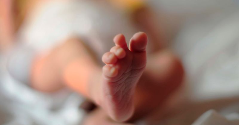 16-day-old baby allegedly snatched by monkey, found dead inside a well