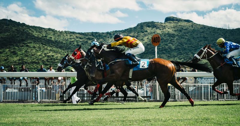 Santa Anita race horse deaths: Drugs, weather and racing horses too young contributed to rise in fatalities, say experts