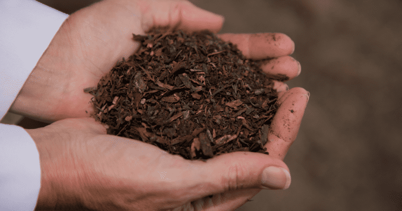 Dead, buried, and growing: How human composting could be a game-changer for the funeral industry
