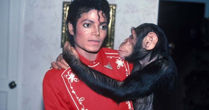 Netflix abandons film about Michael Jackson's pet chimp Bubbles after director Taika Waititi steps down