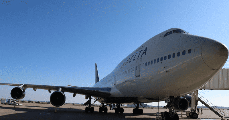 Man mauled by veteran's emotional support dog on board a Delta flight files negligence suit against airline