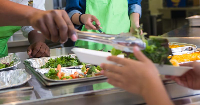 Fat shaming makes children indulge in binge eating causing them to gain more weight, claims study
