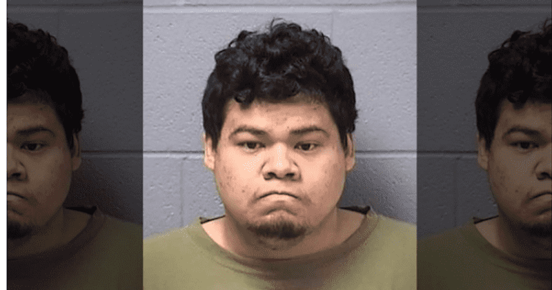Chicago care home resident, 24, stabs female caretaker over 30 times after she confiscated his phone