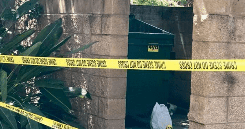 Newborn baby abandoned in dumpster by 15-year-old California mom rescued