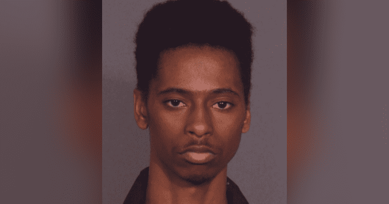 Man who brutally raped woman, 20, on Bronx rooftop allegedly said she deserved it 'because minorities have been through slavery'