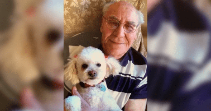 91-year-old Holocaust survivor killed in hit-and-run at the same spot he met with accident 15 years ago