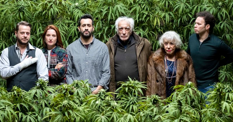 'Family Business' season 1: Release date, plot, cast, trailer, and everything else about Netflix's comedy series about marijuana
