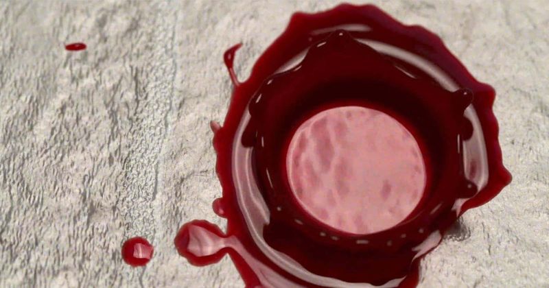 'Exhibit A': Release date, plot, cast, trailer, news and everything you need to know about Netflix's new true crime series