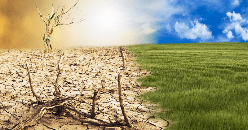 Ozone layer depletion and climate change affecting each other and wreaking havoc on many natural systems, says study