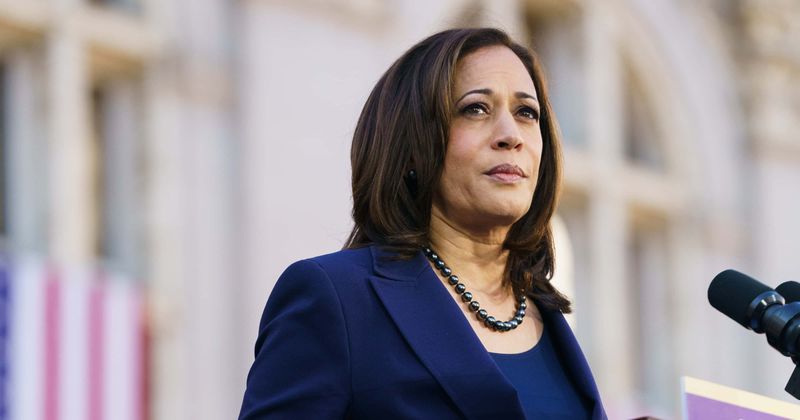 After Obama, birthers target Kamala Harris, claiming she's not American and can't represent African American community