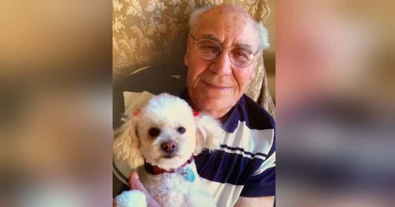 Woman who killed 91-year-old Holocaust survivor in hit-and-run case faces 11 years in jail