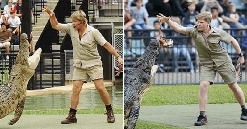 Steve Irwin's lookalike son Robert Irwin recreates iconic photo of late father feeding 'Murray' the crocodile