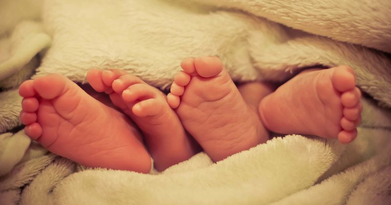 Twin infant boys found abandoned near railway tracks in Massachusetts: 'Saddest thing I’ve heard'