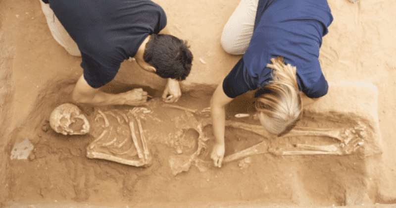 Biblical Philistines descended from people who migrated from West Europe, ancient DNA reveals
