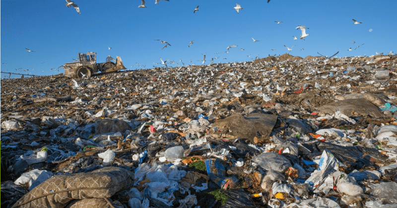 America's Waste Crisis: Country produce three times the global average, but recycles only 35%