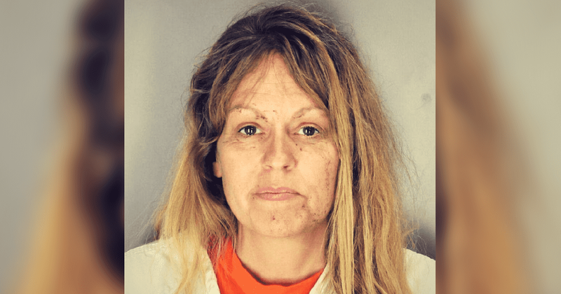 Second son of California mother dies a week after she allegedly tried to drown him and his brother in a canal