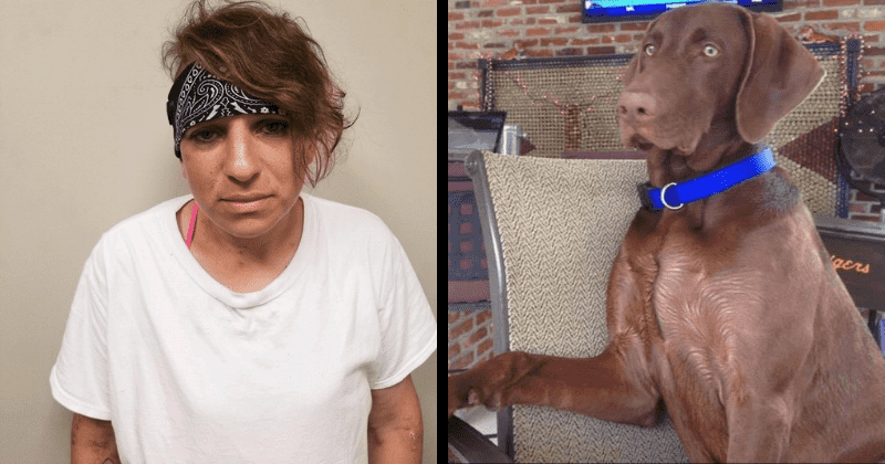 Lousiana woman steals truck, locks dog inside and walks away leaving the animal to die from heat exhaustion