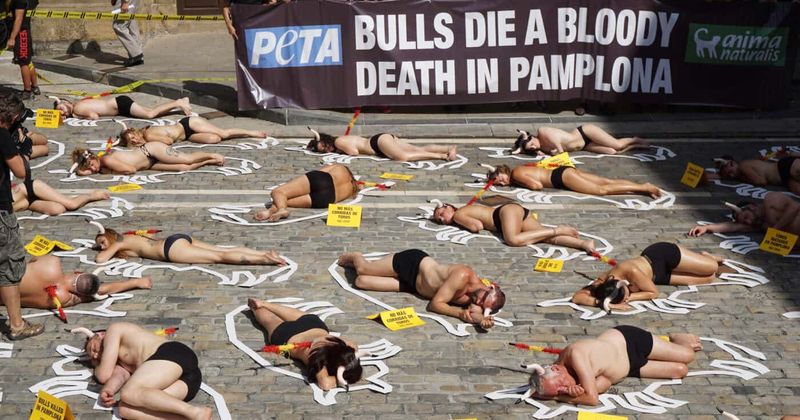 Centuries-old Pamplona bull run remains as bloody and violent as ever: 'Tradition is no excuse for cruelty'