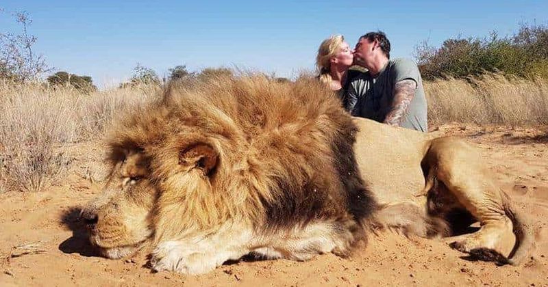Outrage after photo shows 'conservationist' couple kissing to celebrate killing 'monster' lion in South Africa