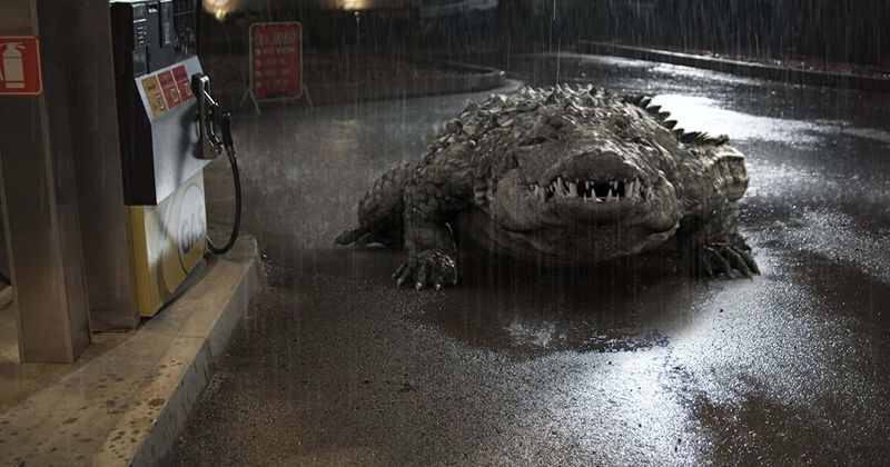 Flushing drugs down drain will create 'meth gators', warn cops after they foil a man's bid to get rid of drugs