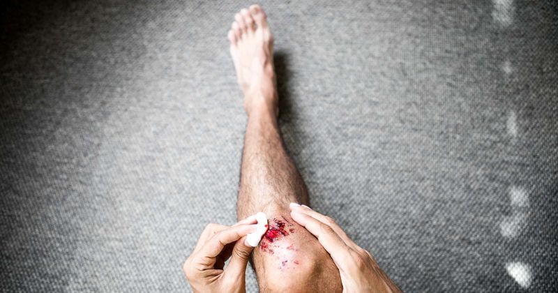 Thrillseeker survives being bitten by a tiger shark, a rattlesnake and a 300-pound bear in the last four years